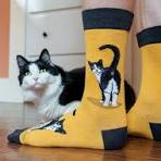 Cat Socks: Types, Uses, and How to Make Them